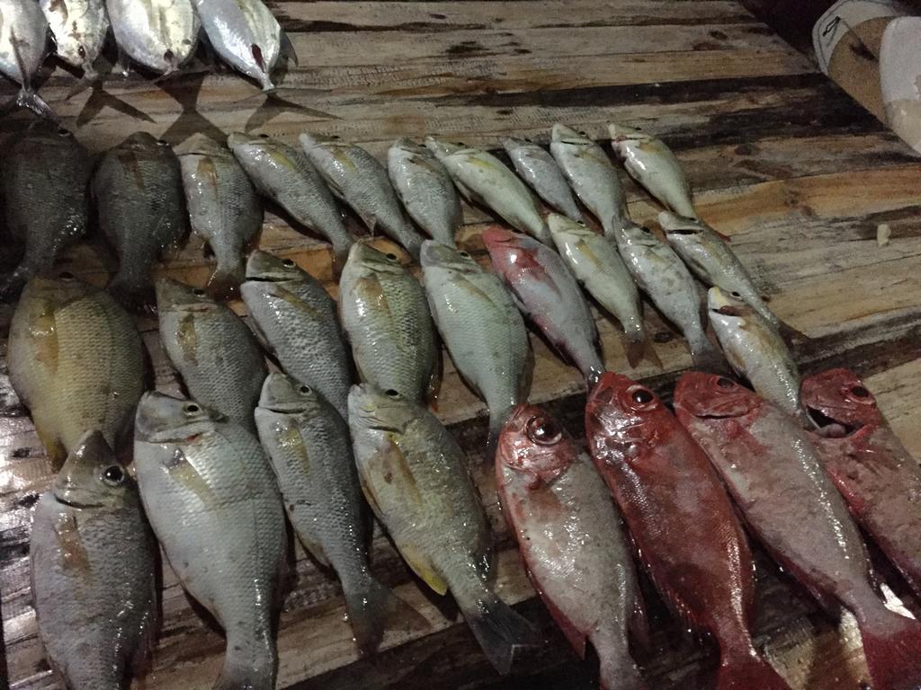 Huraa East Inn Luaran gambar