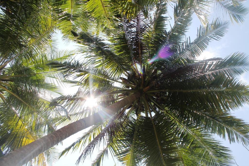 Huraa East Inn Luaran gambar