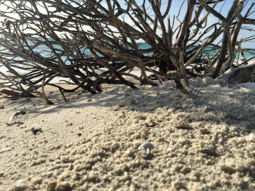Huraa East Inn Luaran gambar